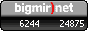 bigmir)net TOP 100