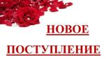 https://pp.userapi.com/c836322/v836322464/46958/rMMP4_S5mlo.jpg