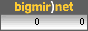bigmir)net TOP 100
