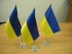 В аэропорте «Борисполь» милиция запретила флаги Украины
