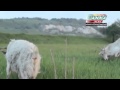 Значок видео