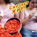 Вы сможете скинуть 30 кг к лету!