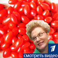 Малышева рекомендует похудение