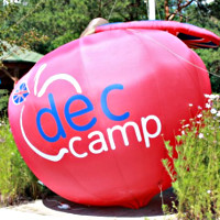 Купить Летние каникулы по-английски в Закарпатье с DEC camp!