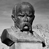 Алексей Антоненков