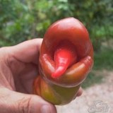 Диабет боится этого, как огня!
