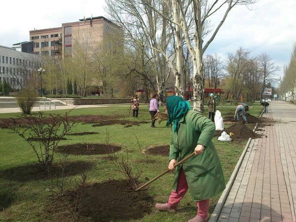 цены оккупация донбасс террористы