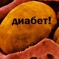 Давно забытый рецепт избавления от диабета...