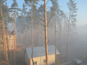 [фото] На Киевщине горят торфяники: опубликованы фото и видео