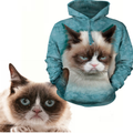 Лучшая цена на Grumpy Cat