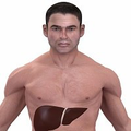 Как очистить печень?