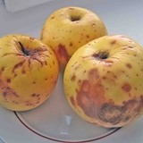 Как избавиться от псориаза?
